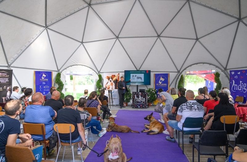Zaprešić - grad-zapresic.com - Primjeri dobre prakse - Od psećeg Instagrama do ozbiljnih pravila u radu s psima – evo što smo naučili na 5. REAL DOG konferenciji!